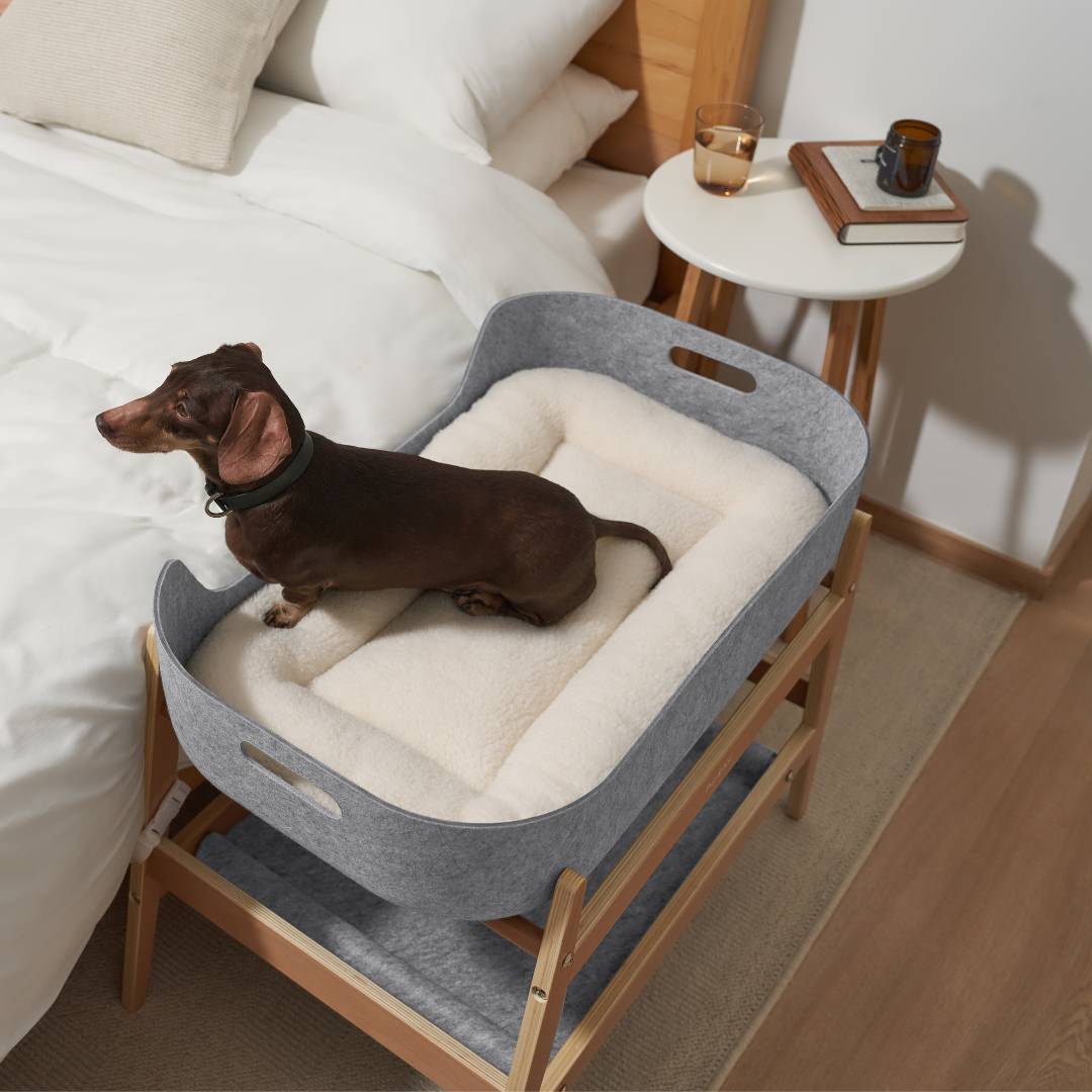 Pup & Kit PetNest Next To Me Bedside Side Sleeper Dog Bed