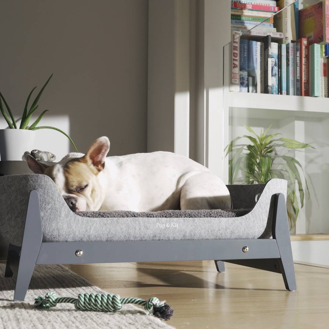 Pup & Kit PetNest Raised Dog Bed Grey