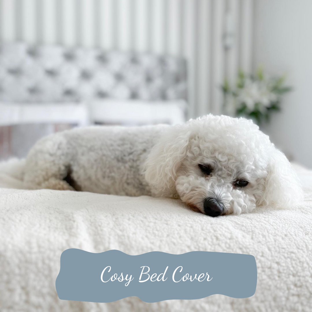 PetProtector Bed Dog #colour_natural
