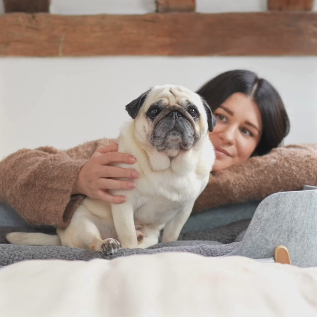 PetNest & Bedside Dog Bed Puggy Smalls#mattress-colour_natural