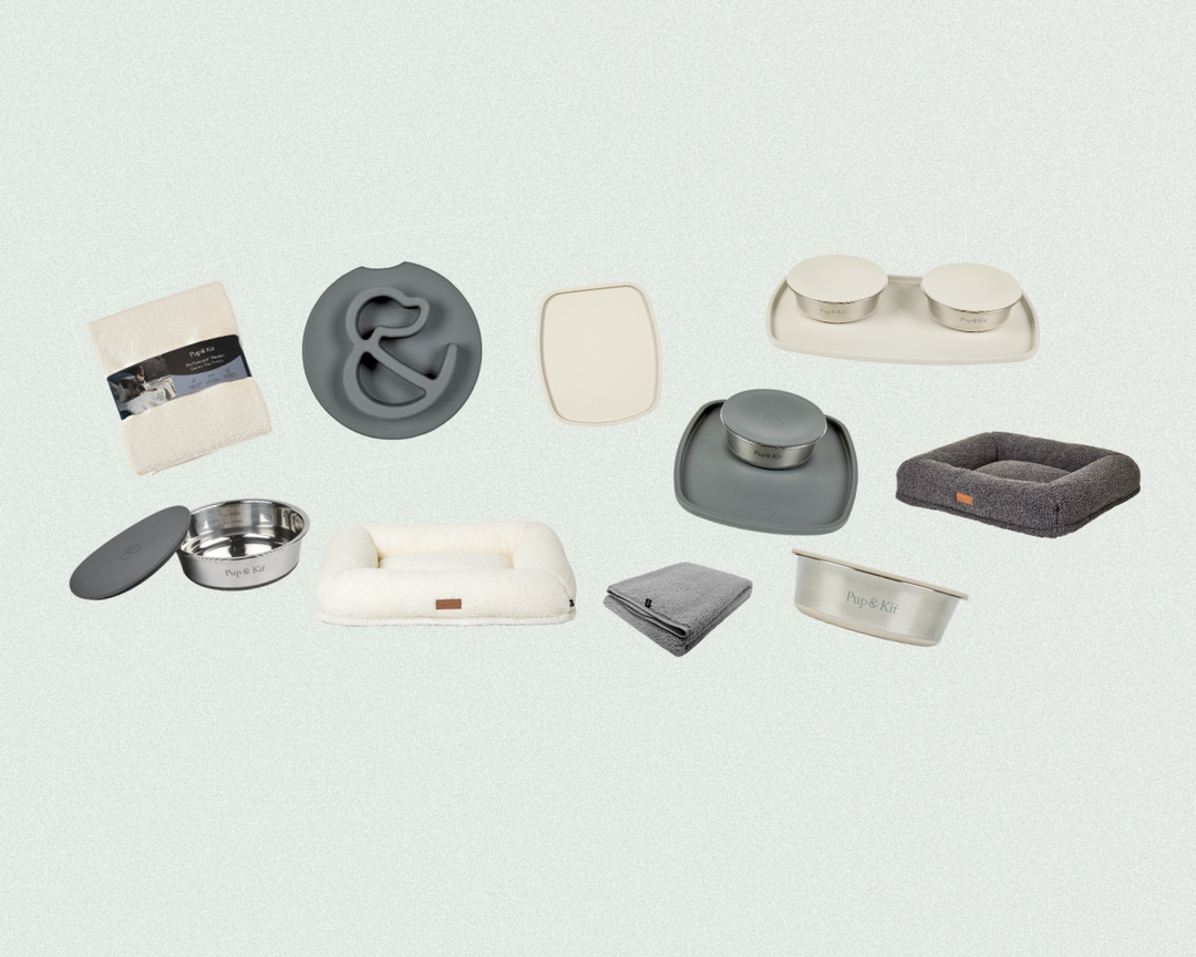 The Ultimate Christmas Gift Guide