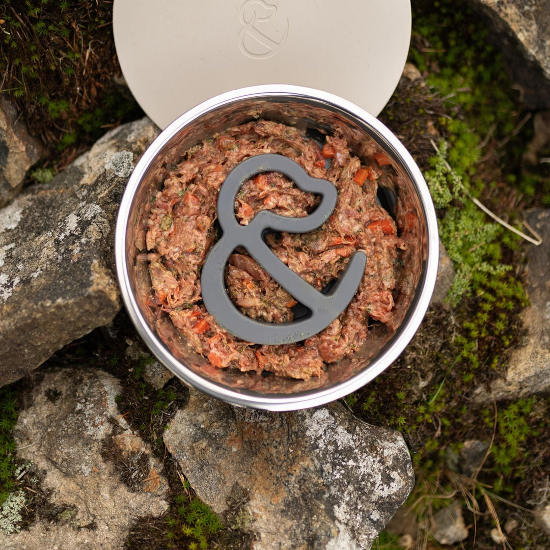 Why we created our slow feeder insert