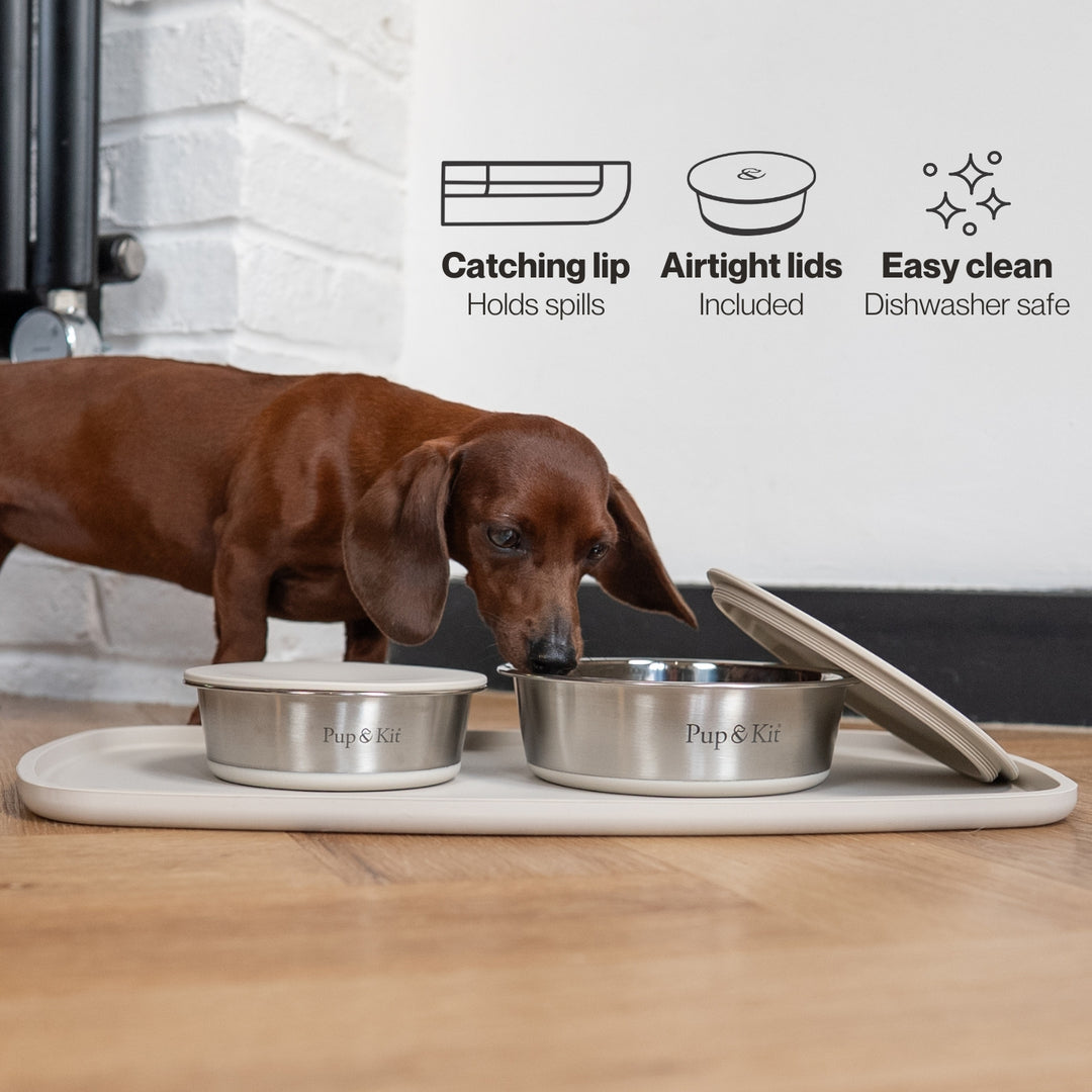 Feeding Station Bundle - Beige