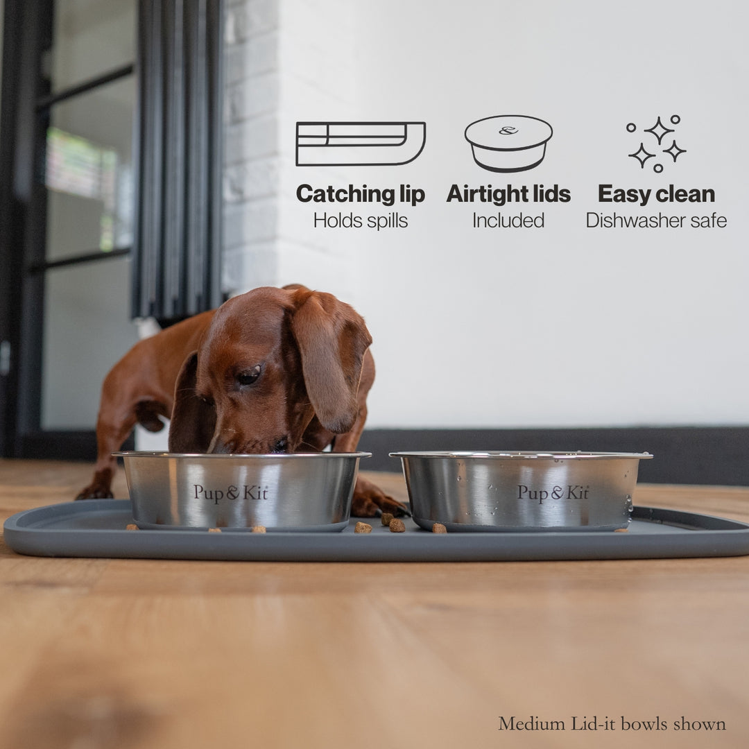 Feeding Station Bundle - Grey