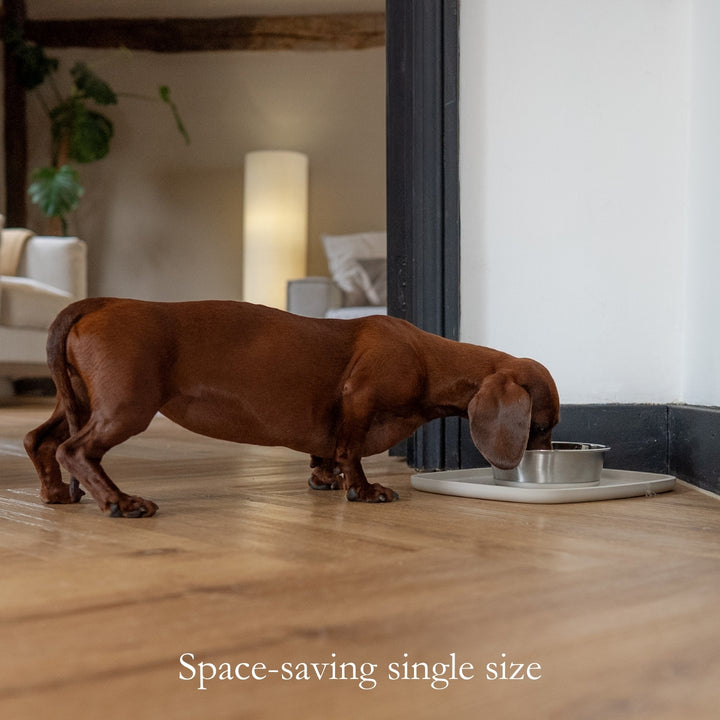 Hydration Station Bundle - Grey