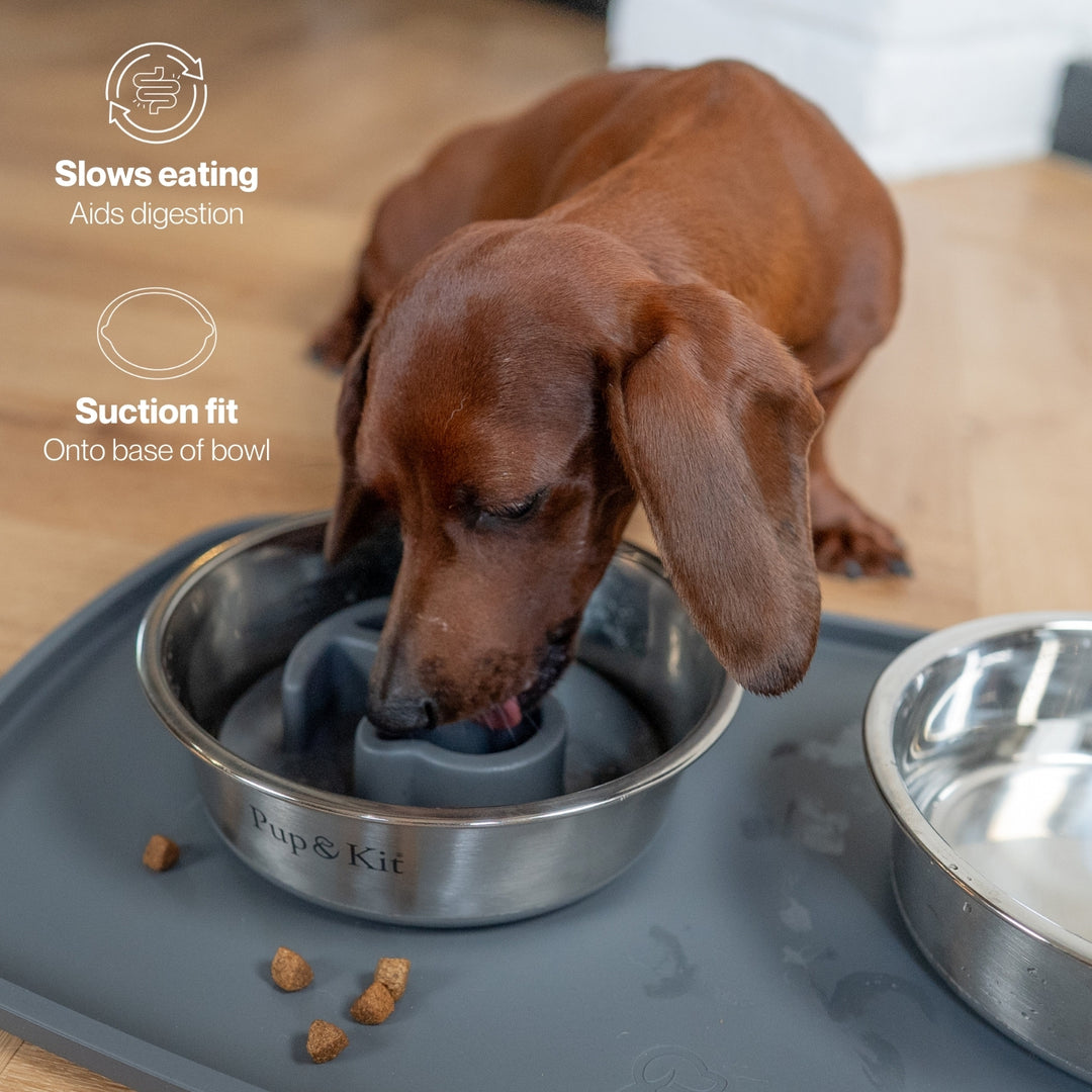 Slow Feeder Bowl Insert with Suction Cup