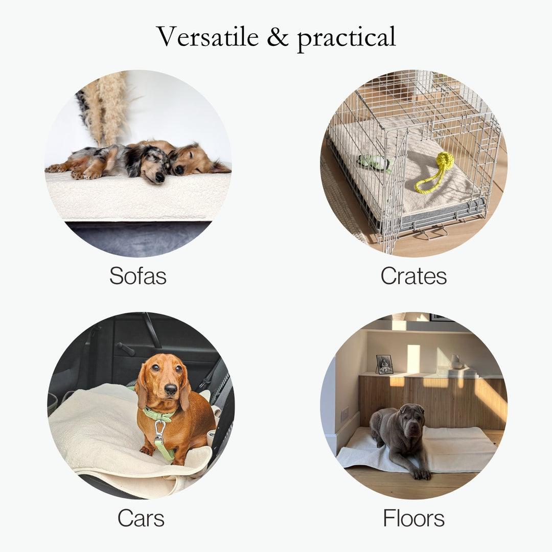 Essential Travel Bundle - Grey