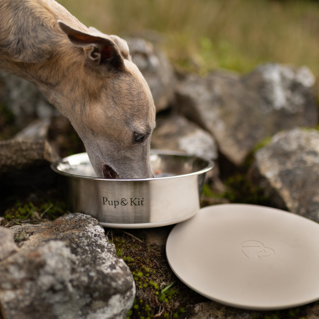 Essential Travel Bundle - Beige