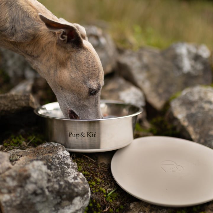 Essential Travel Bundle - Beige