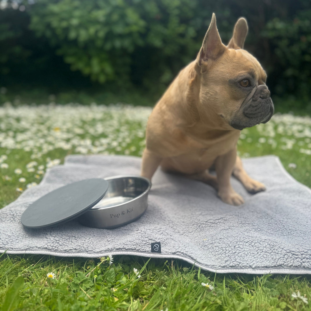 Essential Travel Bundle - Grey