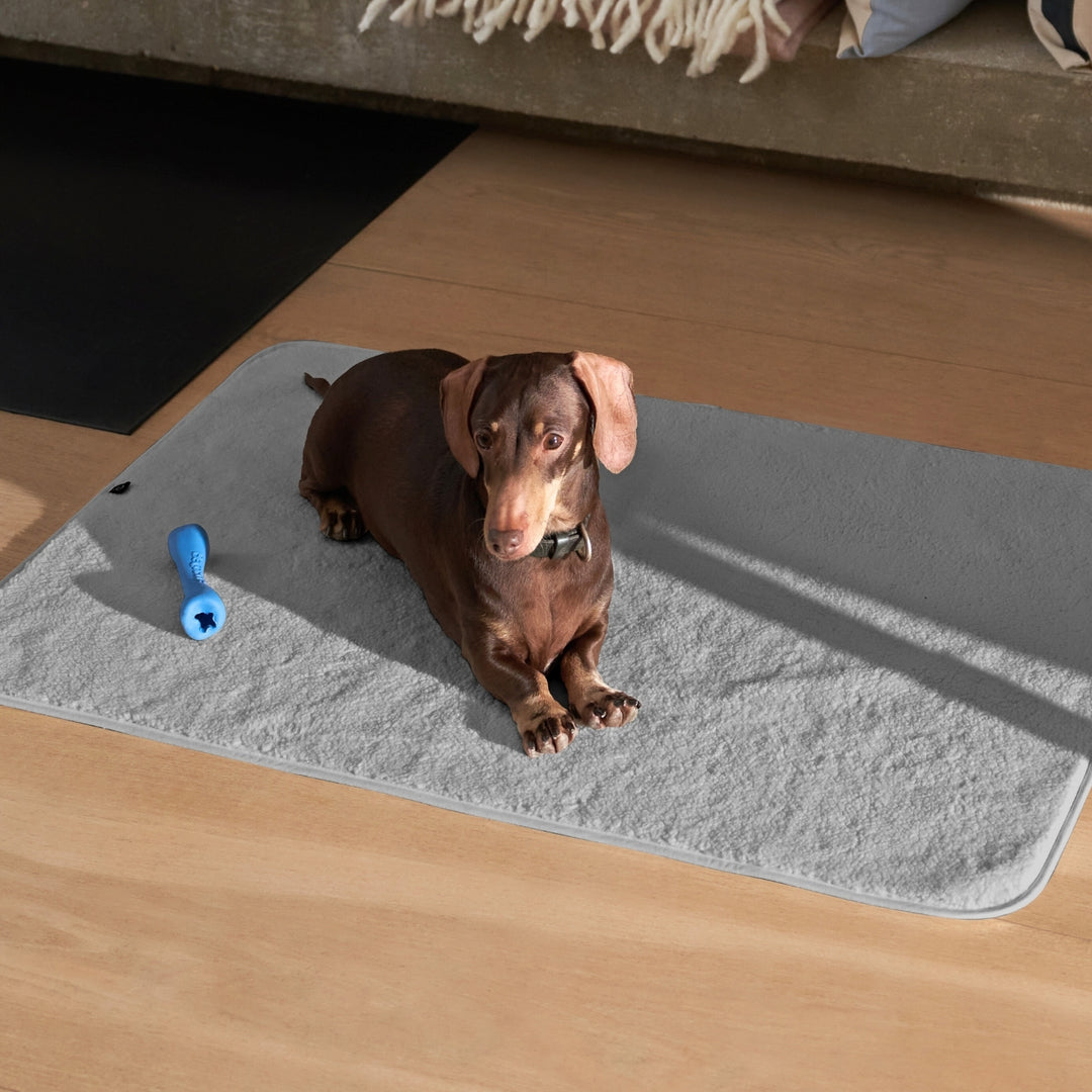 PetProtector Floor #colour_grey