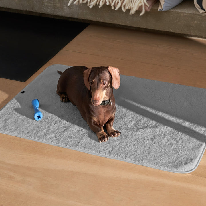 PetProtector Floor #colour_grey