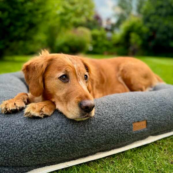 PupPillow Luxury Dog Bed Natural Best For Large Sized Dogs Pup Kit