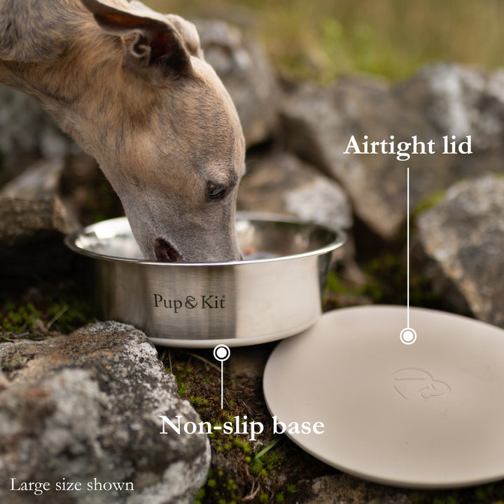 Lid-it Bowl with Stay-Fresh Lid - Beige