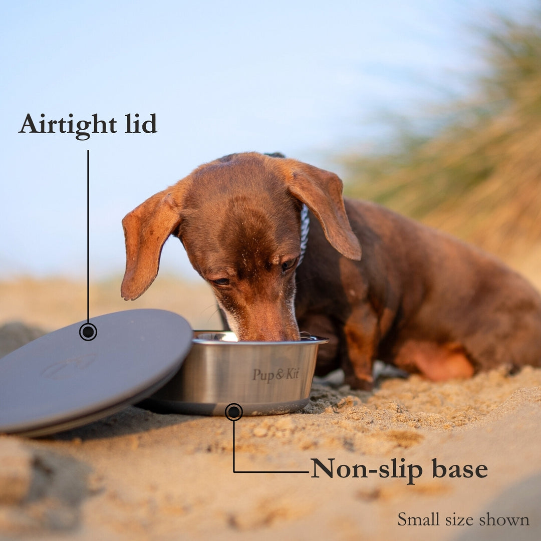 Lid-it Bowl with Stay-Fresh Lid - Grey