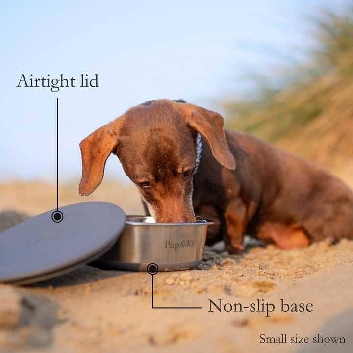 Lid-it Bowl Small Dog