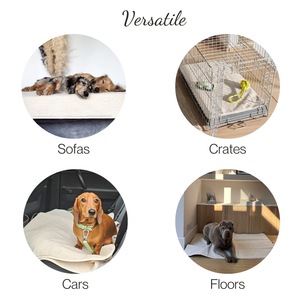 PetProtector Uses #colour_natural