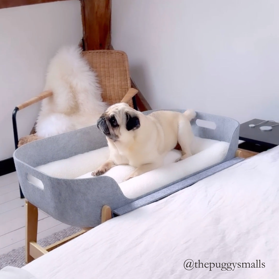 PetNest & Bedside Stand Puggy#mattress-colour_natural