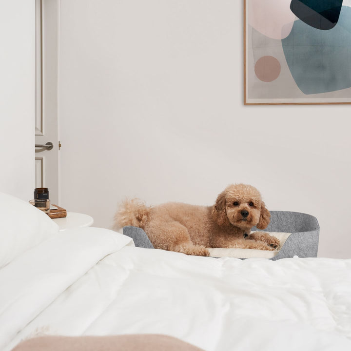 PetNest & Bedside Stand White Dog#mattress-colour_slate-grey