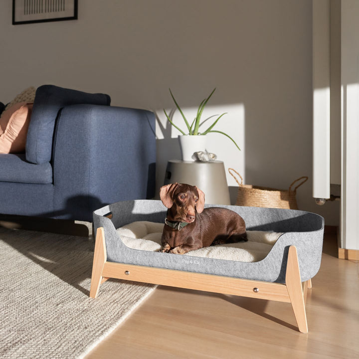 PetNest & Raised Stand Natural Dog#mattress-colour_natural