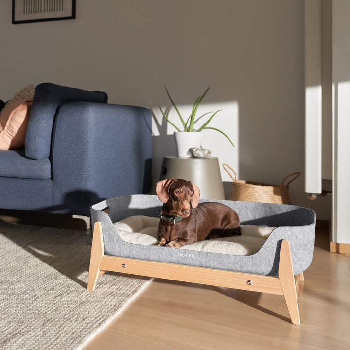 PetNest & Raised Stand Natural Dog#mattress-colour_slate-grey