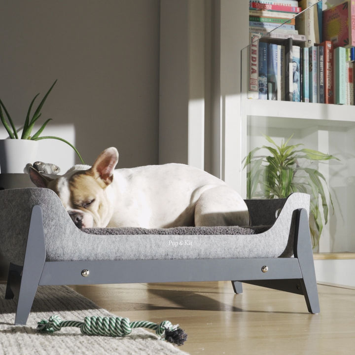 PetNest & Raised Stand Slate Dog#mattress-colour_natural