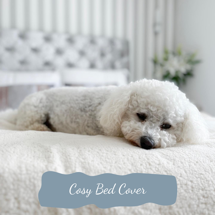 PetProtector Bed Dog #colour_natural