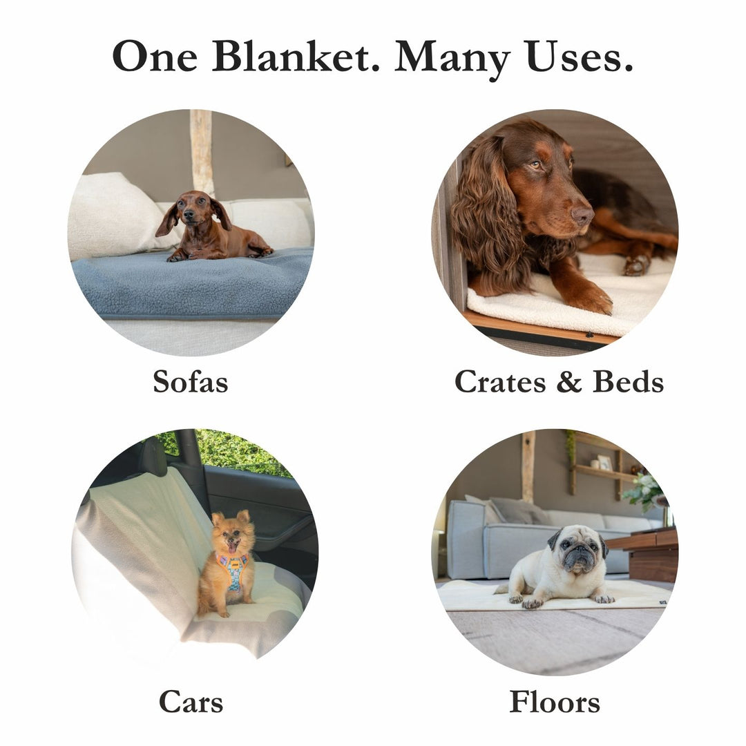 Essential Travel Bundle - Beige