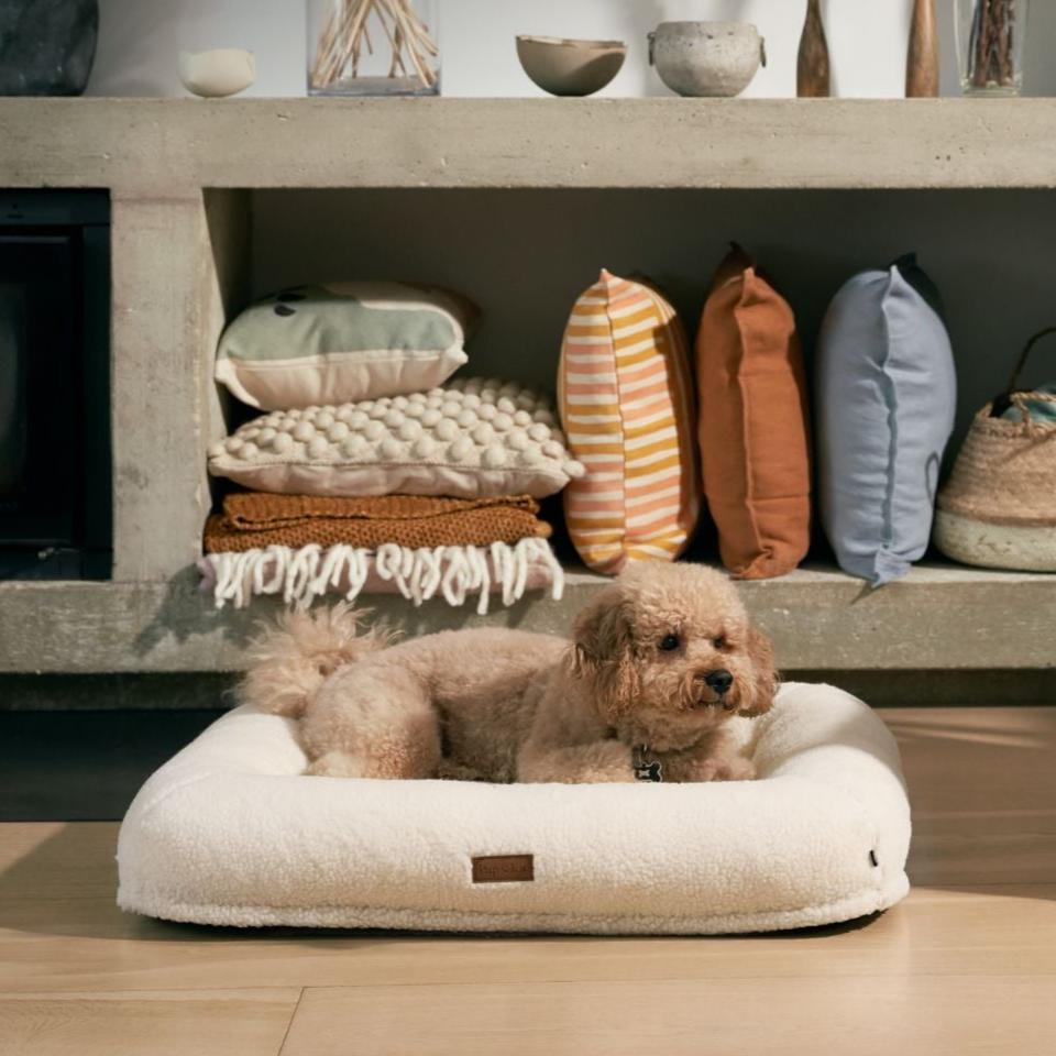 Natural dog beds online