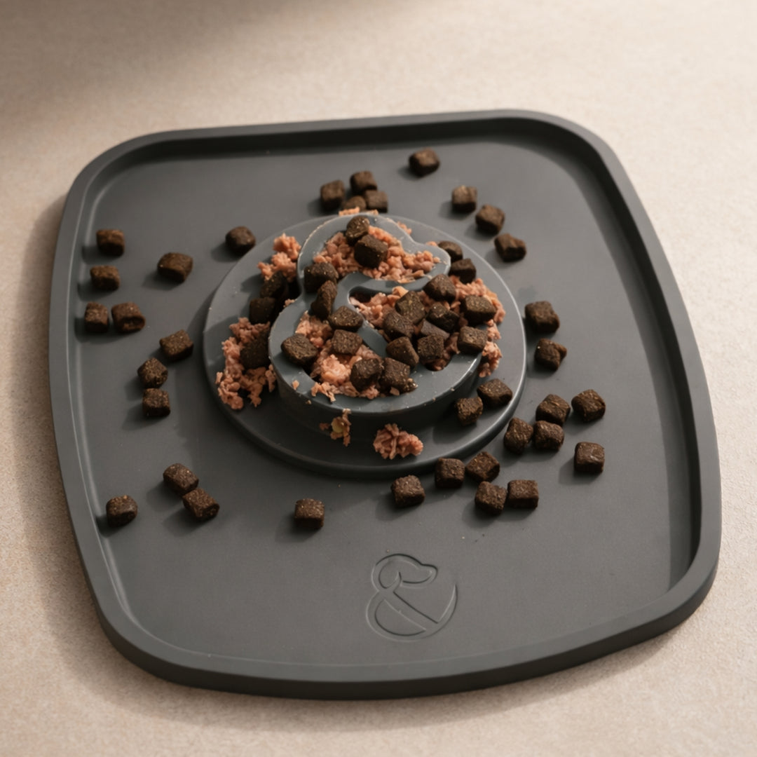 Slow Feeder Mat Bundle