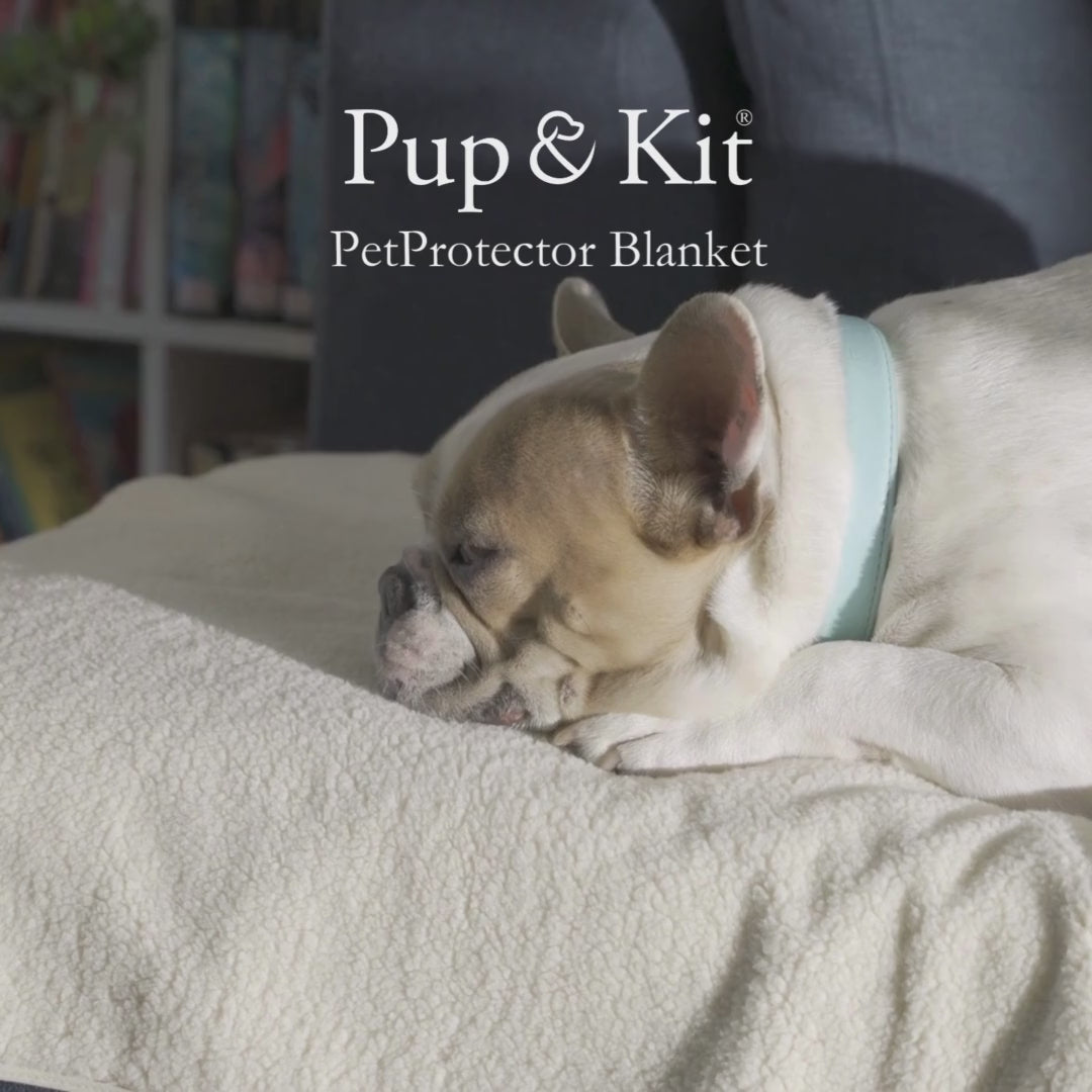 PetProtector Sofa #colour_grey