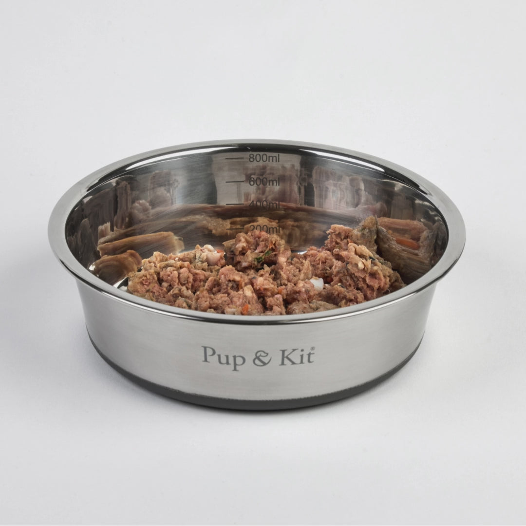 Lid it Dog Cat Bowl with Stay Fresh Lid Pup Kit